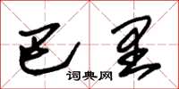 朱锡荣巴里草书怎么写