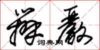 朱锡荣办严草书怎么写