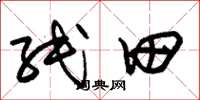 朱锡荣纸田草书怎么写