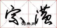 朱锡荣宗潢草书怎么写