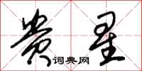 朱锡荣贵星草书怎么写