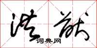 朱锡荣洪猷草书怎么写