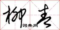 朱锡荣柳青草书怎么写