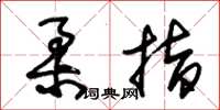朱锡荣柔指草书怎么写