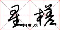 朱锡荣星槎草书怎么写