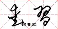 朱锡荣爱习草书怎么写