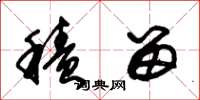 朱锡荣积留草书怎么写