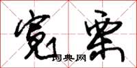 朱锡荣宽栗草书怎么写