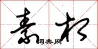 朱锡荣素相草书怎么写