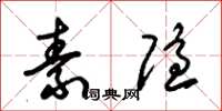 朱锡荣素隐草书怎么写