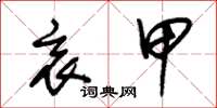 朱锡荣衷甲草书怎么写