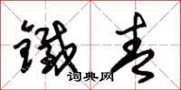 朱锡荣铁青草书怎么写