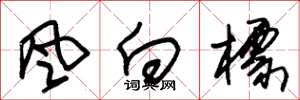 朱锡荣风向标草书怎么写