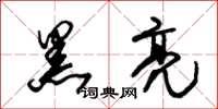 朱锡荣黑亮草书怎么写