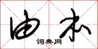 朱锡荣由本草书怎么写