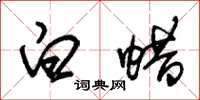 朱锡荣白蜡草书怎么写