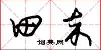 朱锡荣田卒草书怎么写