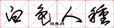 朱锡荣白色人种草书怎么写