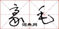 王冬龄豪毛草书怎么写