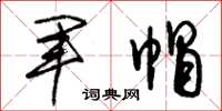 朱锡荣军帽草书怎么写