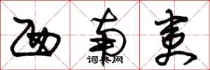 朱锡荣西南夷草书怎么写