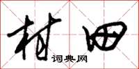 朱锡荣村田草书怎么写