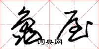 朱锡荣龟屋草书怎么写