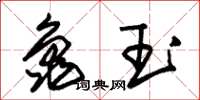 朱锡荣龟玉草书怎么写