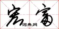 朱锡荣宏富草书怎么写