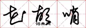 朱锡荣花胡哨草书怎么写