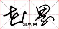 朱锡荣花界草书怎么写