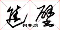 朱锡荣进壁草书怎么写