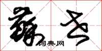 朱锡荣苏世草书怎么写