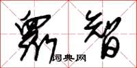 朱锡荣衆智草书怎么写