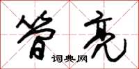 朱锡荣简亮草书怎么写