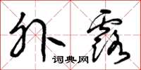曾庆福外露草书怎么写