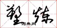朱锡荣塑炼草书怎么写