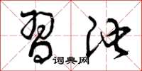 曾庆福习池草书怎么写