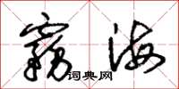 朱锡荣雾海草书怎么写
