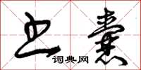 曾庆福书囊草书怎么写