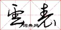 曾庆福云表草书怎么写