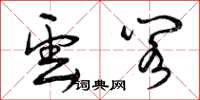 曾庆福云阁草书怎么写