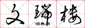 曾庆福文瑞楼草书怎么写