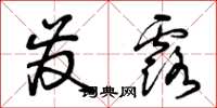 曾庆福发露草书怎么写