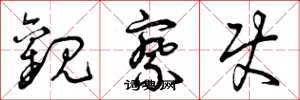 曾庆福观察使草书怎么写