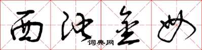 曾庆福西池金母草书怎么写