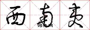 曾庆福西南夷草书怎么写