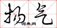 曾庆福扬气草书怎么写
