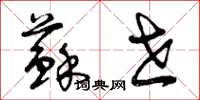 曾庆福苏世草书怎么写