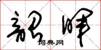 朱锡荣韶晖草书怎么写